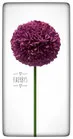 Faerbys flüssige Farb-Pigmente 15 ml